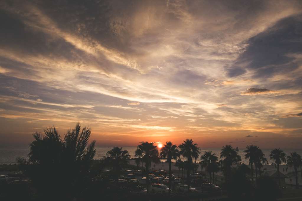 Magnuson Hotel Clearwater Beach Natură foto